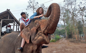 Катание и купание на слонах в Меконге