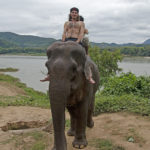 Катание и купание на слонах в Меконге