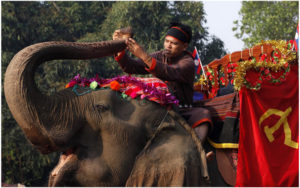 Фестиваль слонов в Сяйнабули