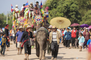 Фестиваль слонов в Сяйнабули